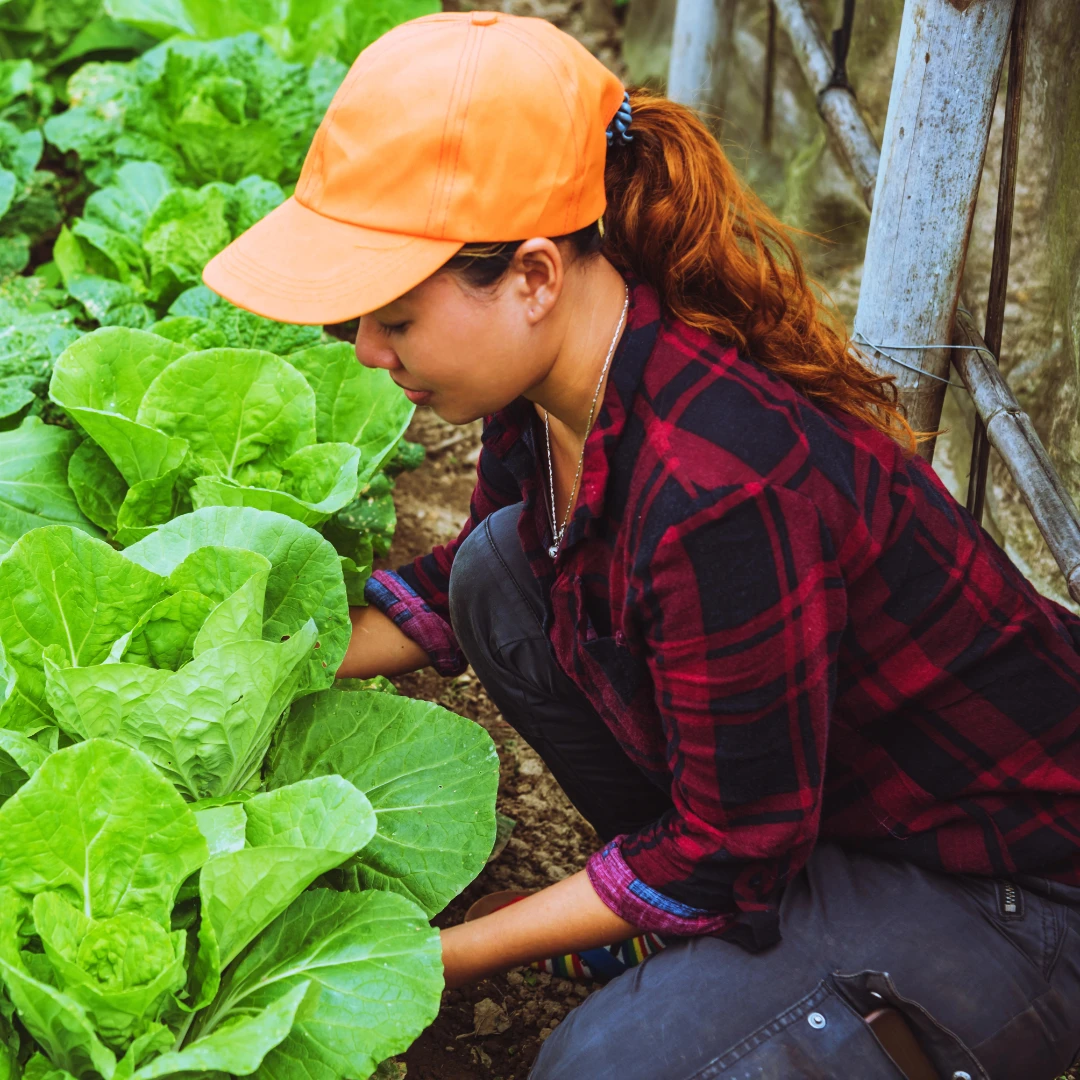Flashpoint Training - Agriculture SHSM Sector